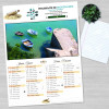 Splayce - Calendriers Pharmacies - pharmacie santé
